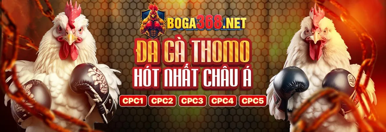 Săn hải vương cùng vn123 bắn cá
